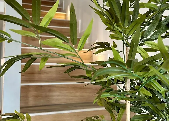 Veleta In Διαμέρισμα